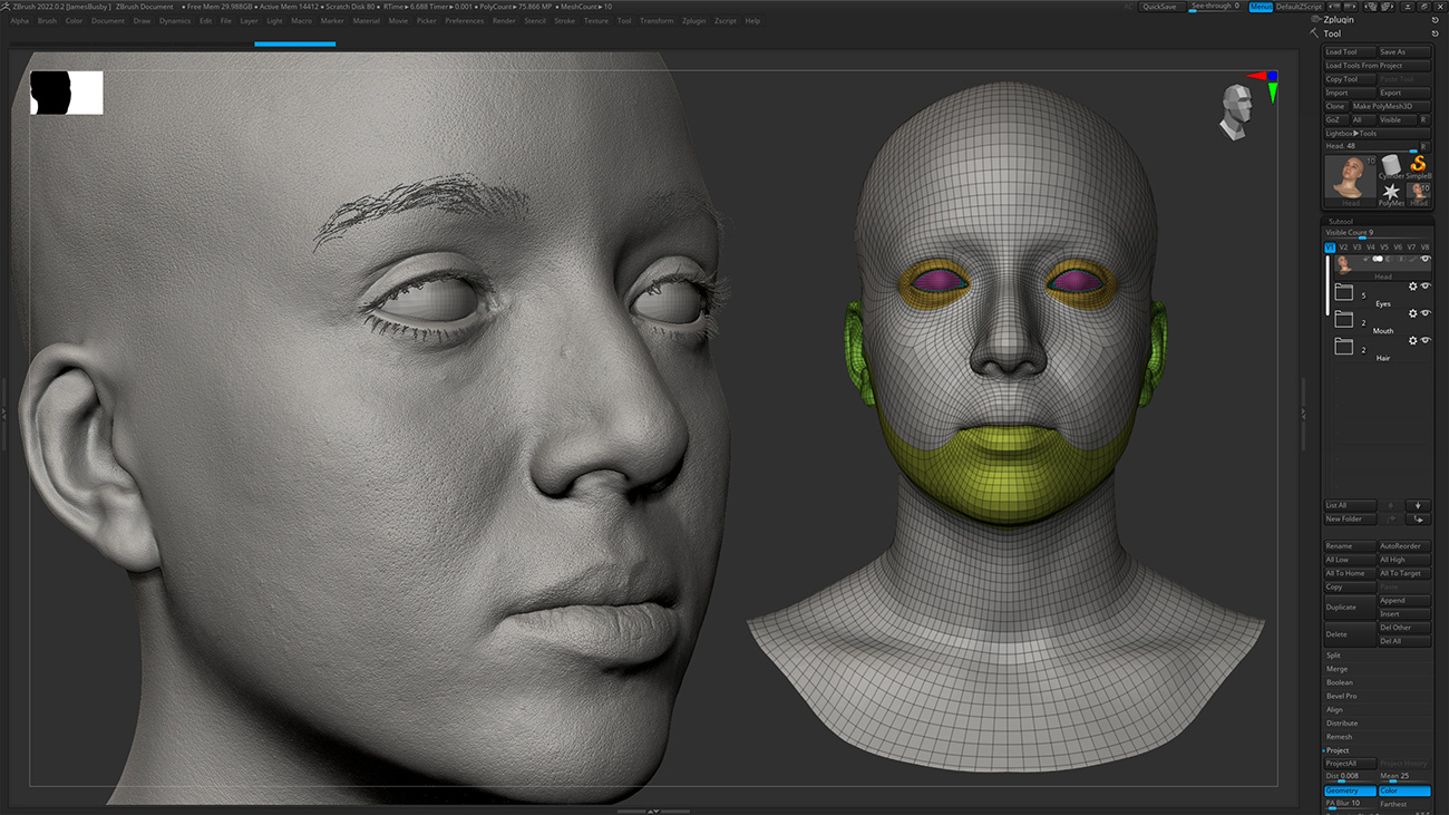 Download Zbrush head sculpt